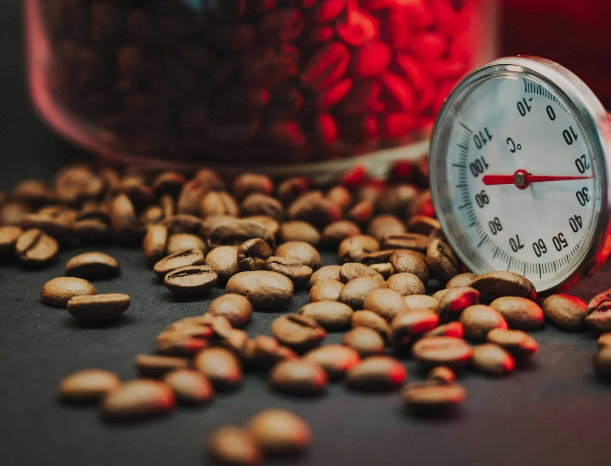 Specialty Coffee Guide for Beginners