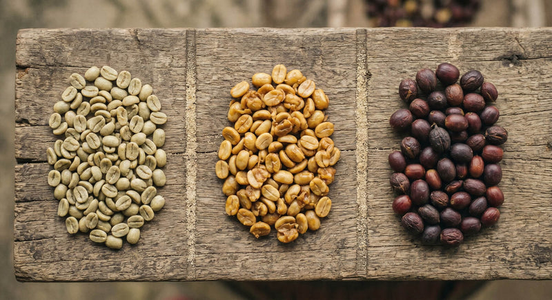 Natural vs Washed vs Honey Coffee: The Differences